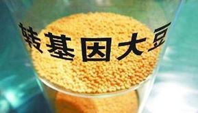 金龍魚陷轉基因門風波 專家稱安全性尚無定論，對酒類經營有何啟示？