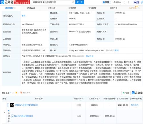 科大訊飛在西藏布局 新公司含多項AI業(yè)務，人工智能應用迎來區(qū)域新范例